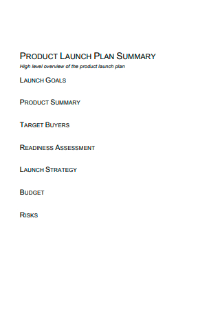 Product Launch Plan Summary