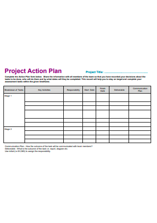 Project Action Plan Example