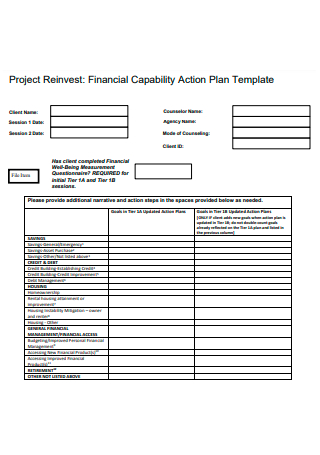 Project Reinvest Financial Capability Action Plan
