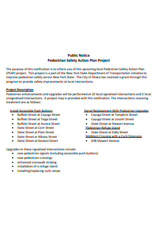 Project Safety Action Plan