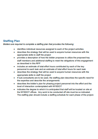 Project Staffing Plan in PDF