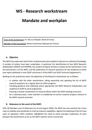 Research Mandate Work Plan