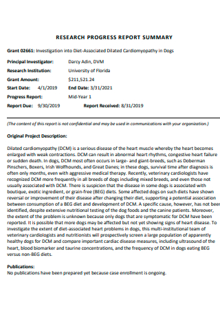 srtmun phd progress report pdf