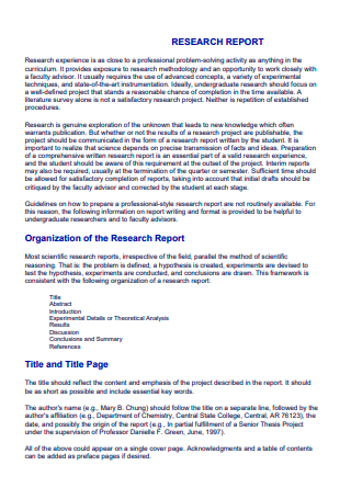 Research Project Report in PDF