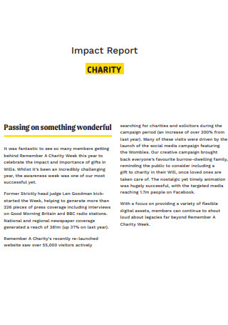Sample Charity Impact Report