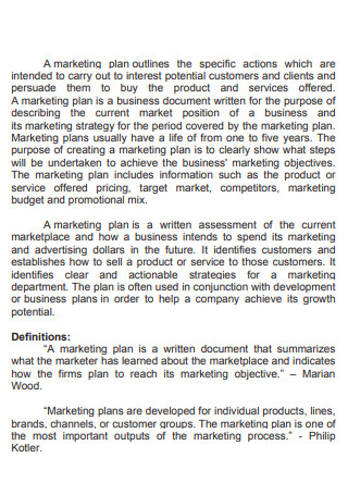 Services Marketing Strategy Plan