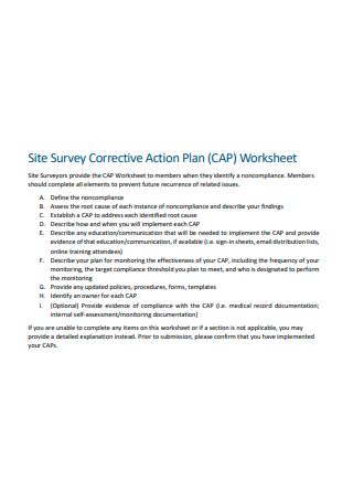 Site Survey Corrective Action Plan