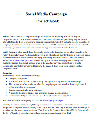 Social Media Campaign Project Plan