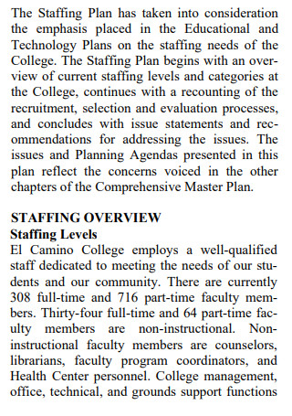 Staffing Plan Overview
