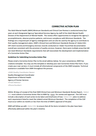Standard Corrective Action Plan