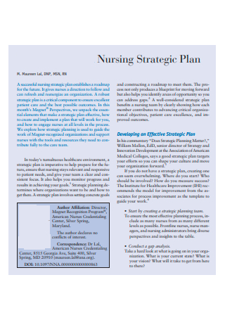 Standard Nursing Strategic Plan