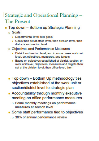 Strategic Operational Plan for Individual Performance