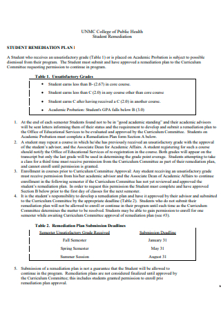 Student Remediation Plan in PDF