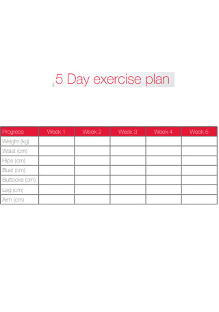 5 Day Exercise Plan