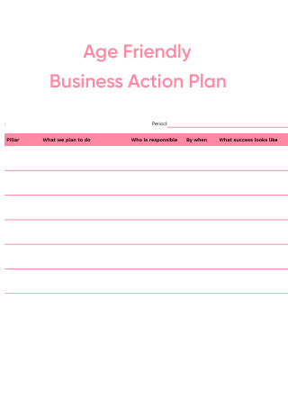 Age Friendly Business Action Plan