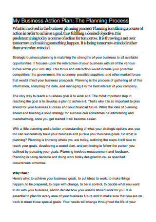 Business Action Planning Process