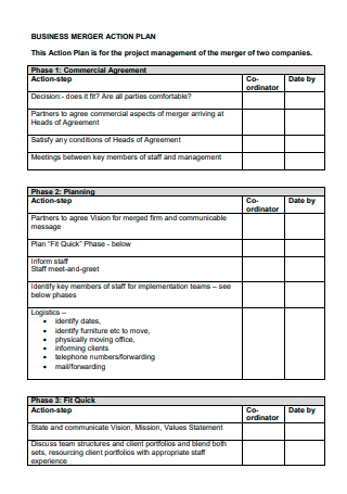 Business Merger Action Plan