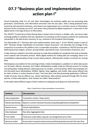 Business and Implementation Action Plan