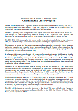 Chief Executive Officer Proposal
