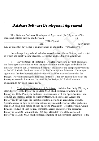 Database Software Development Agreement