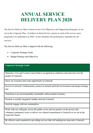Delivery Annual Service Plan