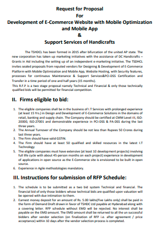 E commerce Request For Proposal in PDF