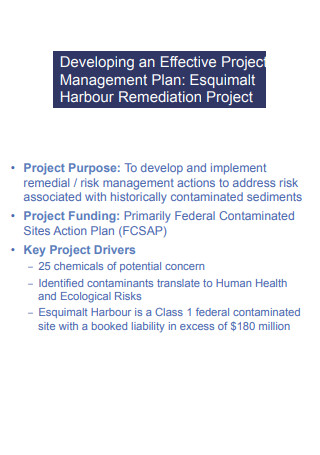 Effective Project Management Remediation Plan
