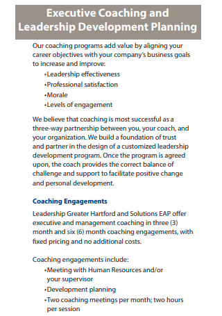 Executive Coaching and Leadership Development Planning
