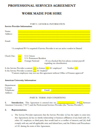Professional Services Work for Hire Agreement
