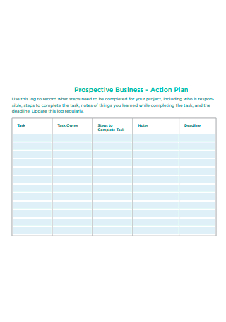 Prospective Business Action Plan