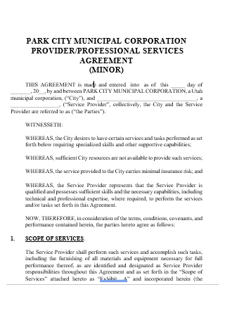 Provider Professional Services Agreement