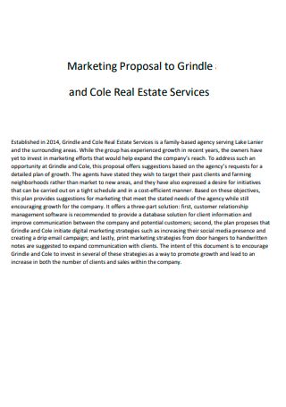 Real Estate Service Marketing Proposal