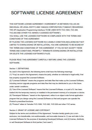 Software License Agreement Example
