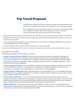Trip Travel Proposal