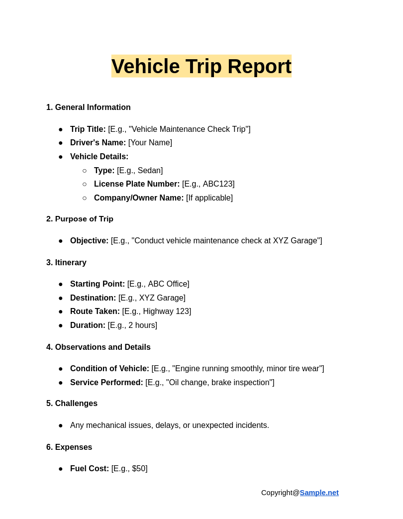 Vehicle Trip Report Google Docs 12 23 2024 03 59 PM