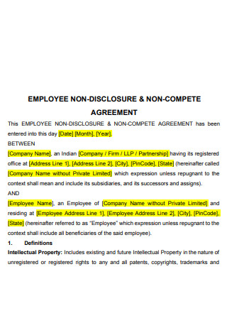 Employee Confidentiality and Non Compete Agreement