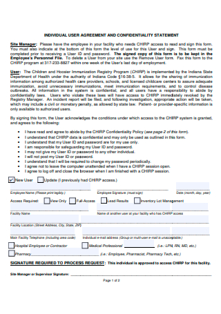 Individual User Agreement and Confidentiality Statement