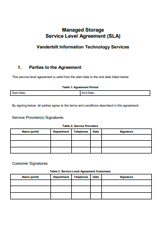 Managed Storage Service Level Agreement