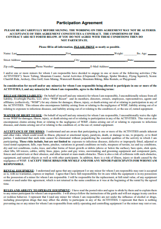 Participation Agreement Format