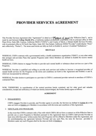 Provider Service Agreement