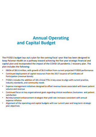 Annual Operating Budget Plan