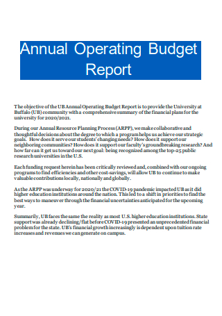 Annual Operating Budget Report