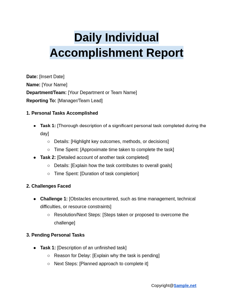 Daily Individual Accomplishment Report Google Docs 01 17 2025 04 54 PM