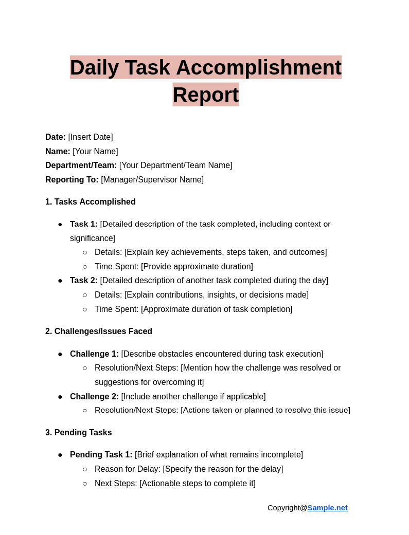 Daily Task Accomplishment Report Google Docs 01 17 2025 04 54 PM