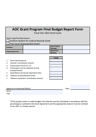 Grant Program Final Budget Report Form