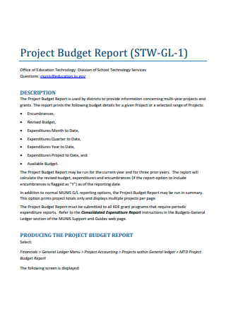 Project Budget Report