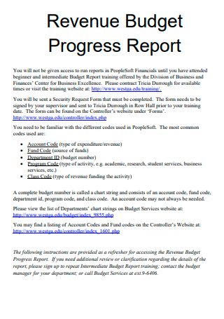 Revenue Budget Progress Report