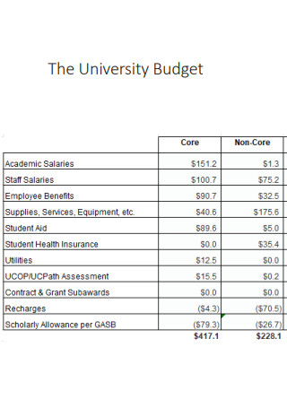 The University Budget