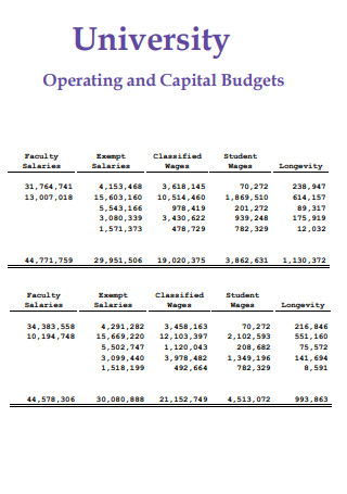 University Operating and Capital Budget
