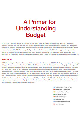 University Primer for Understanding Budget